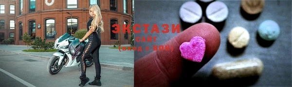стаф Алзамай