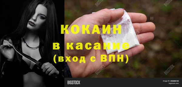 стаф Алзамай