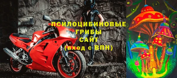 стаф Алзамай