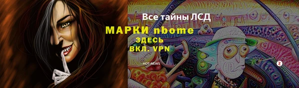 стаф Алзамай